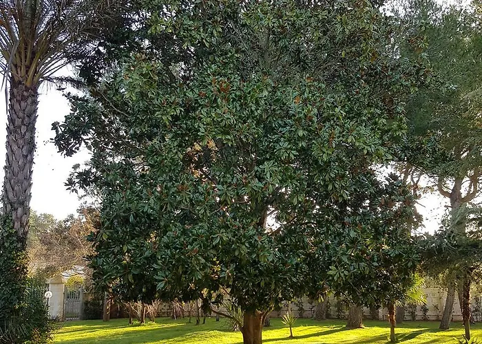 Edda Heated Pool גלאטינה